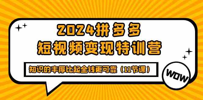 （9817期）2024拼多多短视频变现特训营，知识的丰厚比起金钱更可靠（11节课）-副业网