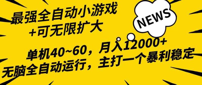 （10046期）2024最新全网独家小游戏全自动，单机40~60,稳定躺赚，小白都能月入过万-副业网