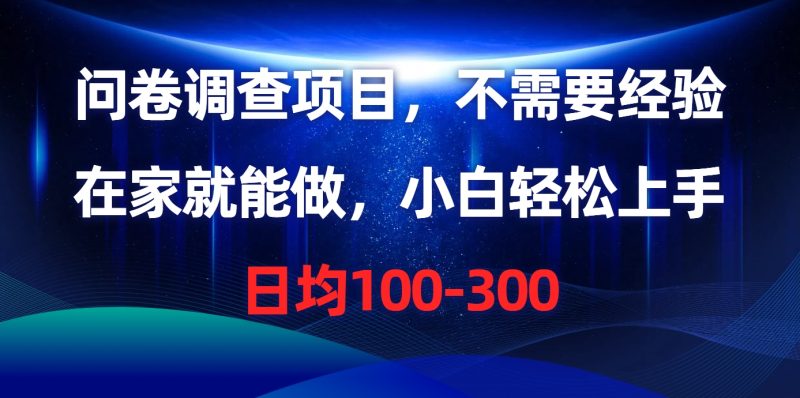 （10402期）问卷调查项目，不需要经验，在家就能做，小白轻松上手，日均100-300-副业网