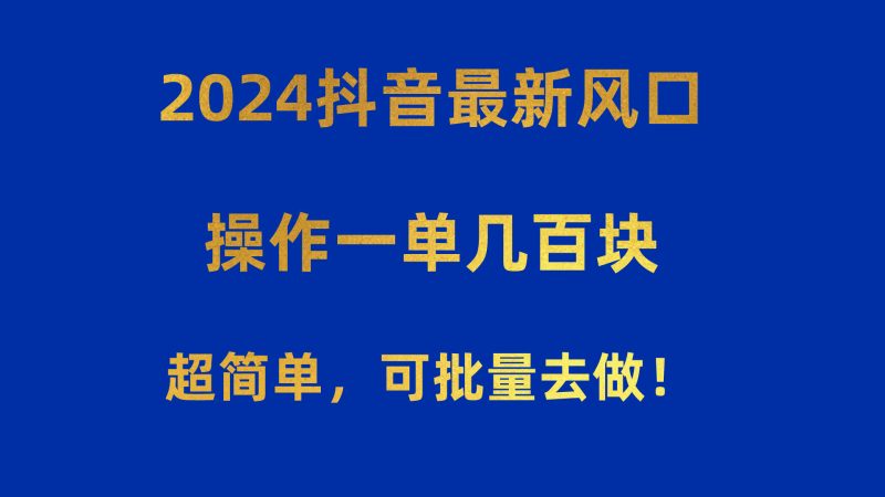 （10413期）2024抖音最新风口！操作一单几百块！超简单，可批量去做！！！-副业网