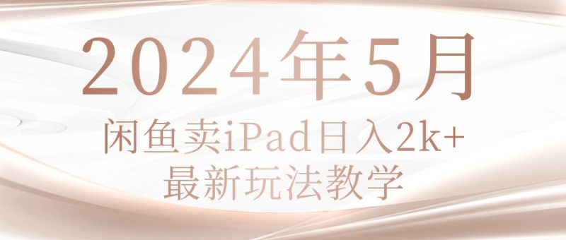 （10459期）2024年5月闲鱼卖ipad日入2k，最新玩法教学-副业网