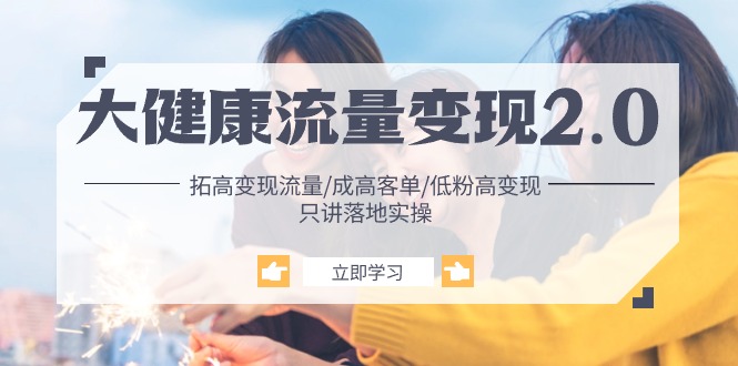 （10871期）大健康 流量 变现2.0：拓高变现 流量/成高客单/低粉高变现/只讲落地实战-副业网