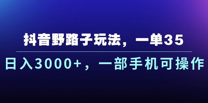 （10909期）抖音野路子玩法，一单35.日入3000+，一部手机可操作-副业网