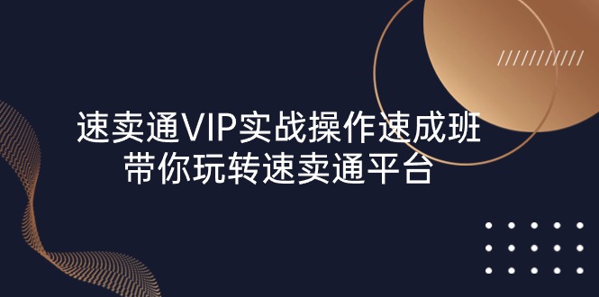 （10935期）速卖通 VIP实战操作-速成班，带你玩转速卖通平台（23节）-副业网