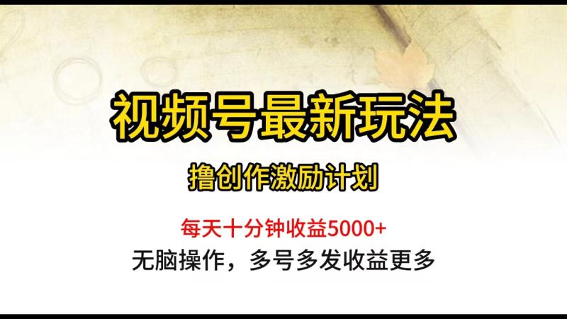 （10087期）视频号最新玩法，每日一小时月入5000+-副业城