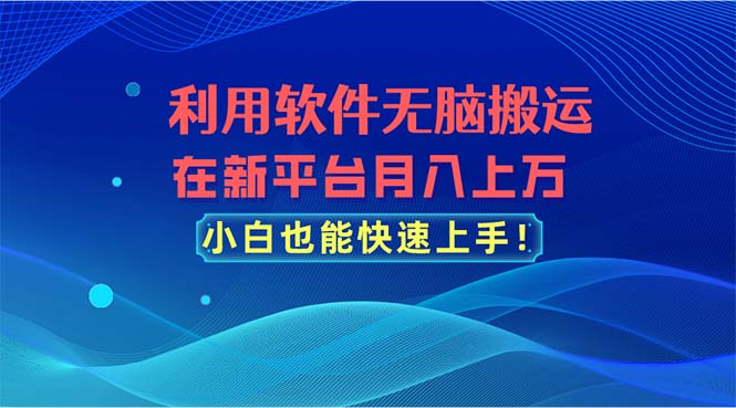 （11078期）利用软件无脑搬运，在新平台月入上万，小白也能快速上手-副业网
