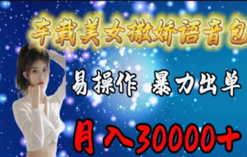 （11249期）车载美女撒娇语音包，执行就出单，月入3000＋，小白看完课程就能马上实操-副业网