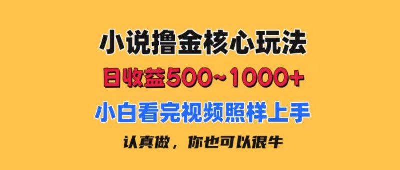 （11461期）小说撸金核心玩法，日收益500-1000+，小白看完照样上手，0成本有手就行-副业网