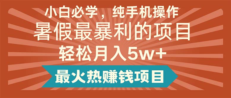 （11583期）小白必学，纯手机操作，暑假最暴利的项目轻松月入5w+最火热赚钱项目-副业网
