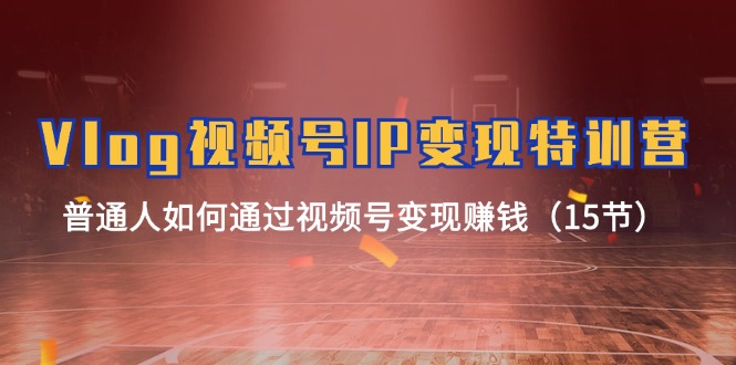 （11654期）Vlog 视频号IP变现特训营，普通人如何通过视频号变现赚钱（15节）-副业网