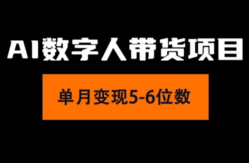 （11751期）2024年Ai数字人带货，小白就可以轻松上手，真正实现月入过万的项目-副业网