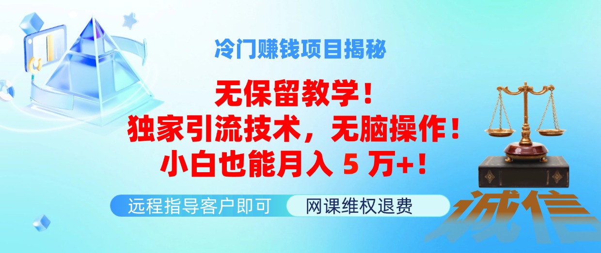 图片[1]-（11864期）冷门赚钱项目无保留教学！独家引流技术，无脑操作！小白也能月入5万+！-副业网