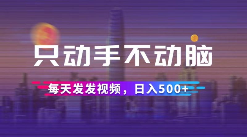 （12638期）只动手不动脑，每天发发视频，日入500+-副业网