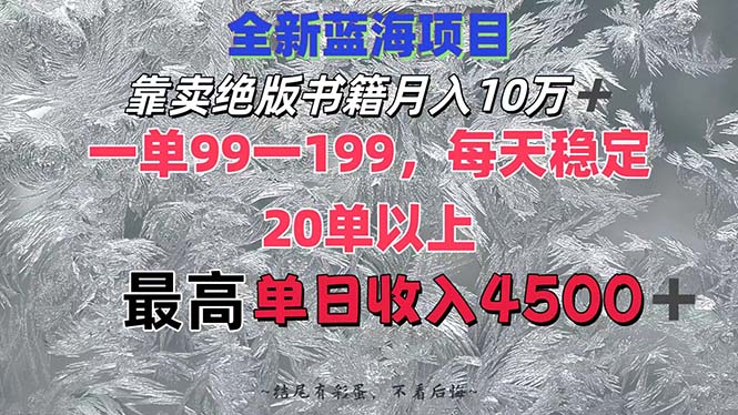 （12512期）靠卖绝版书籍月入10W+,一单99-199，一天平均20单以上，最高收益日入4500+-副业网