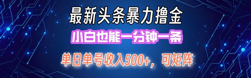 （12380期）最新暴力头条掘金日入500+，矩阵操作日入2000+ ，小白也能轻松上手！-副业网