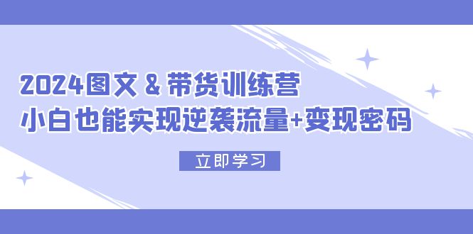 （12137期）2024 图文+带货训练营，小白也能实现逆袭流量+变现密码-副业网