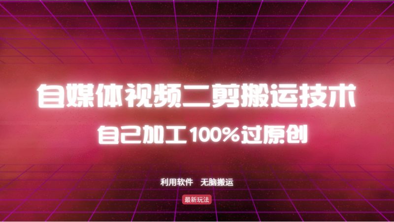 （12995期）详细教你自媒体视频二剪搬运技术，自己加工100%过原创，无脑搬运-副业网