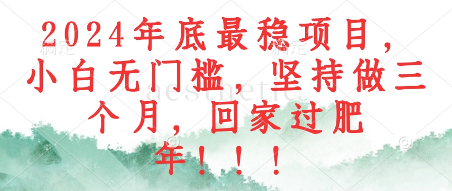 图片[1]-（12970期）2024年底最稳项目，小白无门槛，坚持做三个月，回家过肥年！！！-副业网