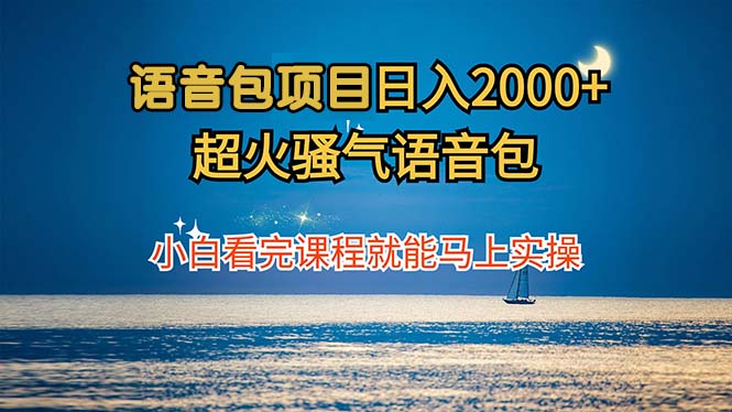 （12734期）语音包项目 日入2000+ 超火骚气语音包小白看完课程就能马上实操-副业网