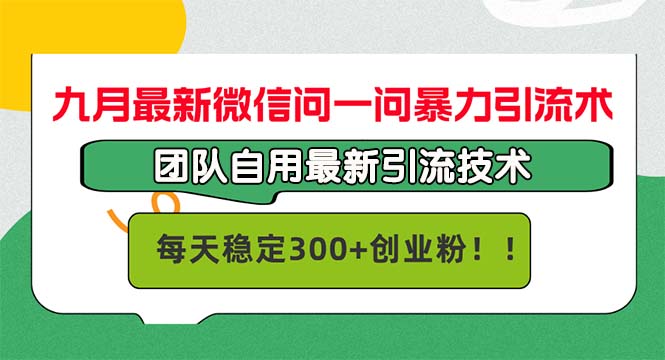 （12735期）九月最新微信问一问暴力引流术，团队自用引流术，每天稳定300+创…-副业网