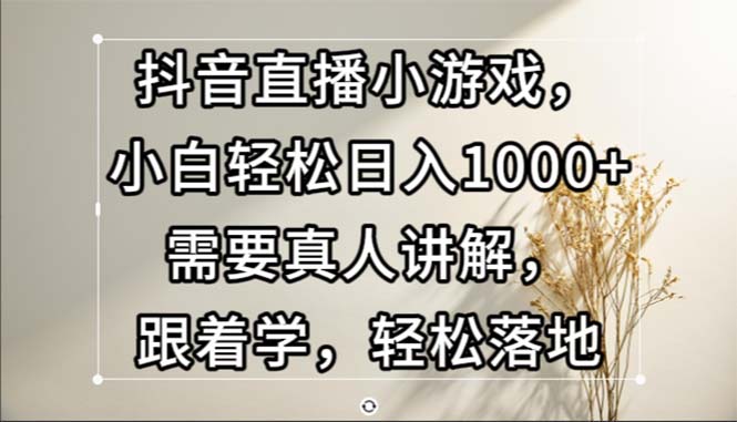 （13075期）抖音直播小游戏，小白轻松日入1000+需要真人讲解，跟着学，轻松落地-副业网