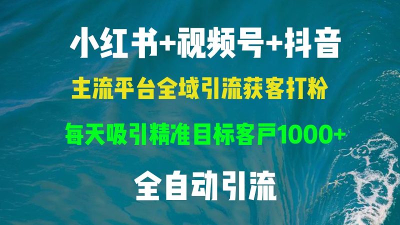 （13104期）小红书，视频号，抖音主流平台全域引流获客打粉，每天吸引精准目标客户…-副业网