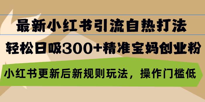 （13145期）最新小红书引流自热打法，轻松日吸300+精准宝妈创业粉，小红书更新后新…-副业网
