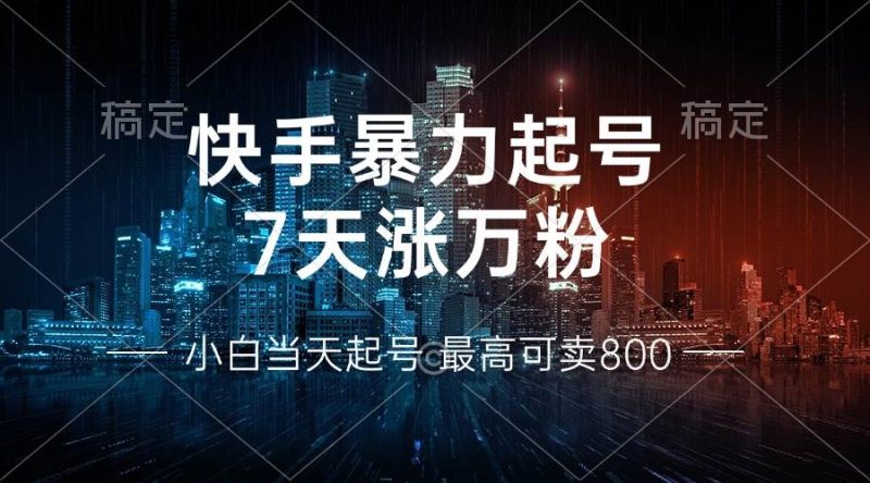 （13142期）快手暴力起号，7天涨万粉，小白当天起号 多种变现方式，账号回收，单月…-副业网