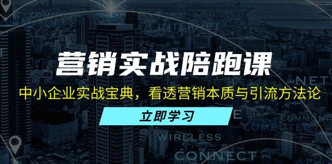 （13146期）营销实战陪跑课：中小企业实战宝典，看透营销本质与引流方法论-副业网