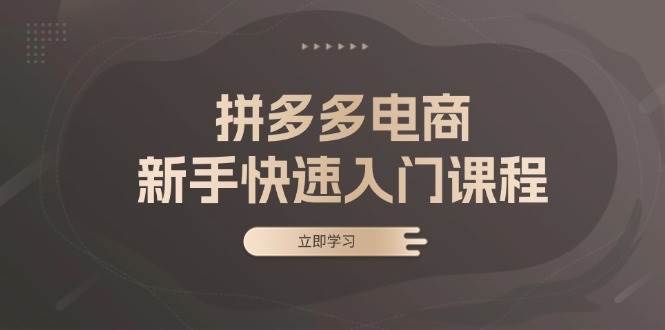 （13289期）拼多多电商新手快速入门课程：涵盖基础、实战与选款，助力小白轻松上手-副业网