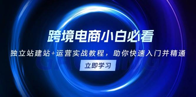 （13502期）跨境电商小白必看！独立站建站+运营实战教程，助你快速入门并精通-副业网