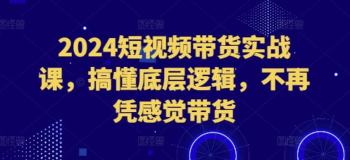 2024短视频带货实战课，搞懂底层逻辑，不再凭感觉带货-副业城