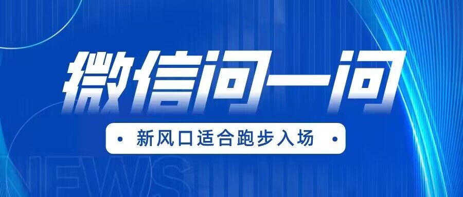 图片[1]-全网首发微信问一问新风口变现项目（价值1999元）-副业网