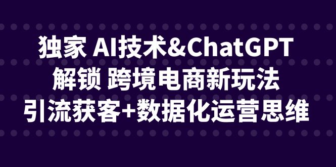独家 AI技术&ChatGPT解锁 跨境电商新玩法，引流获客+数据化运营思维-副业网