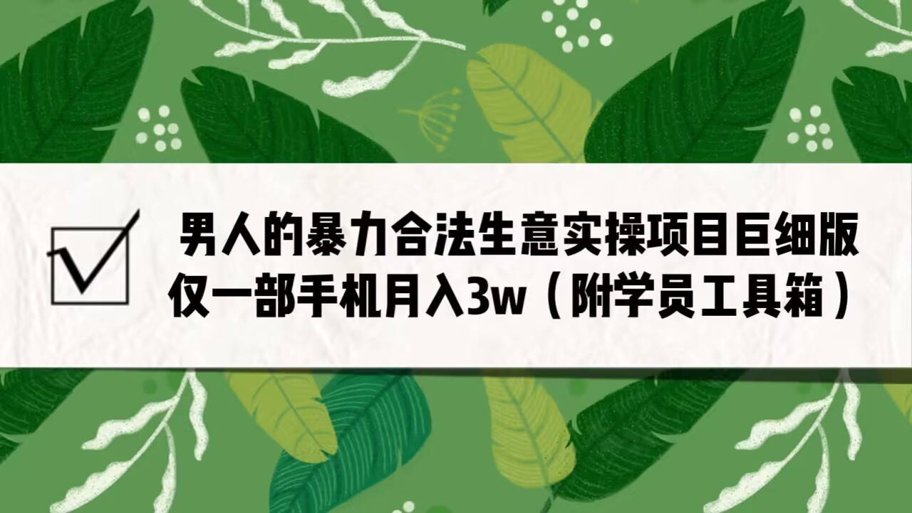 男人的暴力合法生意实操项目巨细版：仅一部手机月入3w（附赠学员工具箱）-副业网