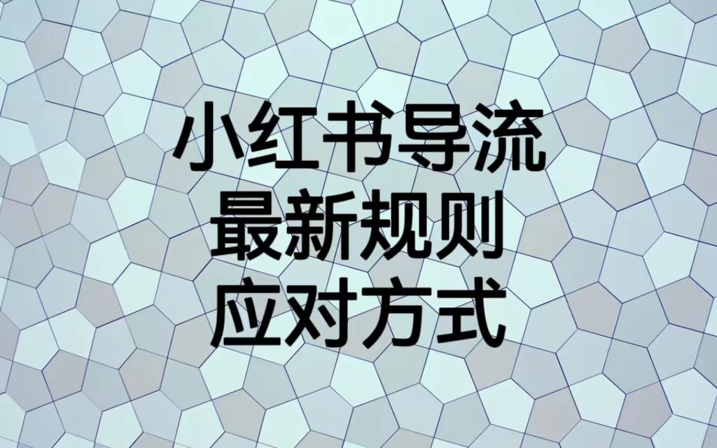 图片[1]-小红书导流最新规则应对方式，新规以后目前还可用的引流方式解读-副业网