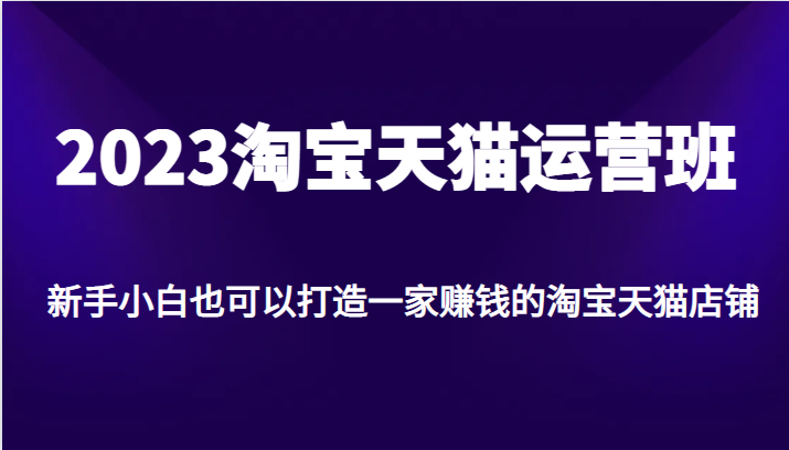 2023淘宝天猫运营班，新手小白也可以打造一家赚钱的淘宝天猫店铺-副业网