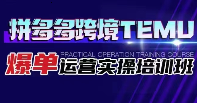 拼多多跨境TEMU爆单运营实操培训班 海外拼多多的选品、运营、爆单-副业网