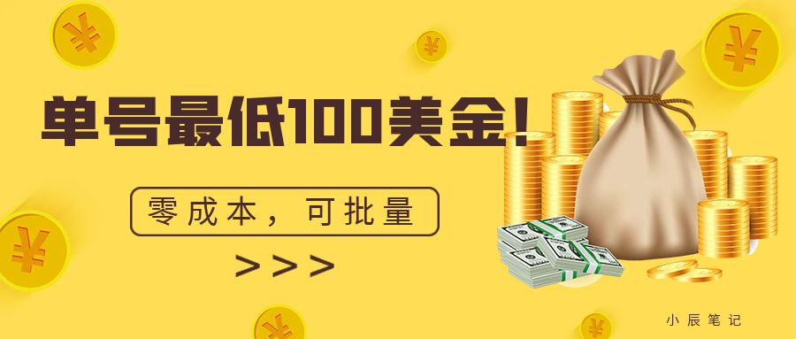 图片[1]-单号最低100美金，零成本，小白无脑操作。可复制，可扩大。-副业网