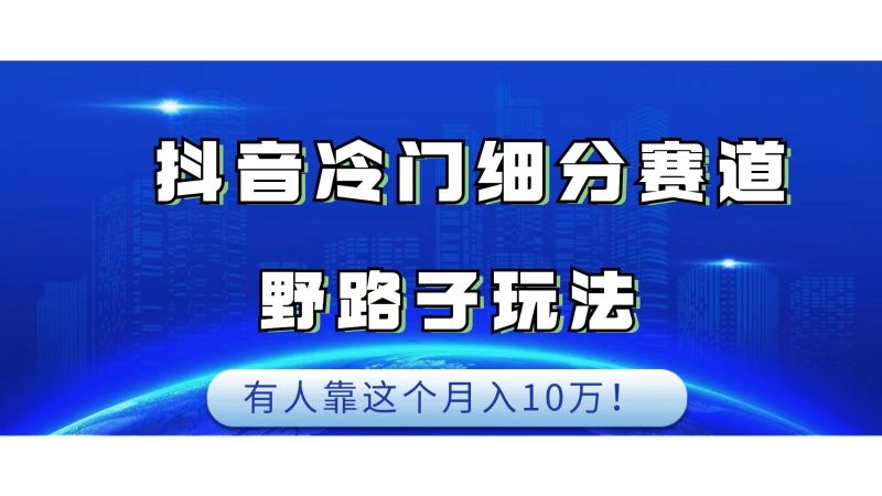 抖音冷门细分赛道野路子玩法，有人靠这个月入10万-副业网