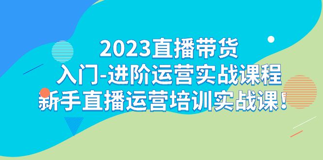 2023直播带货入门-进阶运营实战课程：新手直播运营培训实战课-副业网