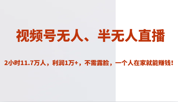 视频号无人、半无人直播2小时11.7万人，利润1万+，不需露脸，一个人在家就能赚钱！-副业网