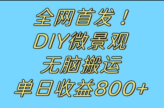 全网首发冷门赛道！DIY微景观，无脑搬运视频，日收益800+-副业网