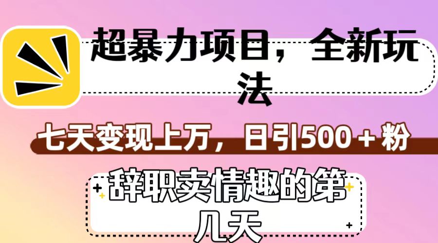 图片[1]-超暴利项目，全新玩法（辞职卖情趣的第几天），七天变现上万，日引500+粉-副业网
