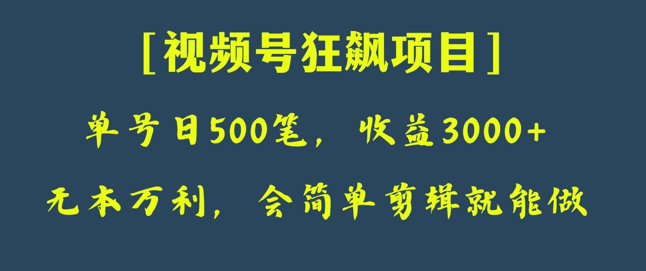 图片[1]-日收款500笔，纯利润3000+，视频号狂飙项目！-副业网