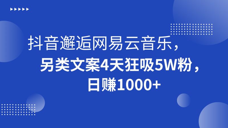 抖音邂逅网易云音乐，另类文案4天狂吸5W粉，日赚1000+-副业网
