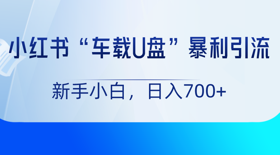 图片[1]-小红书“车载U盘”项目，暴利引流，新手小白轻松日入700+-副业网