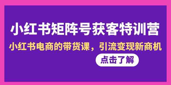 小红书矩阵号获客特训营-第10期,小红书电商的带货课,引流变现新商机-副业网