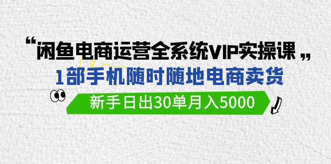 闲鱼电商运营全系统VIP实战课，1部手机随时随地卖货，新手日出30单月入5000-副业网