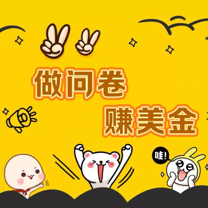 国外问卷调查小白家也可批量操作（口子查站点查渠道查）真正的长久稳定项目 日入1500+-副业网